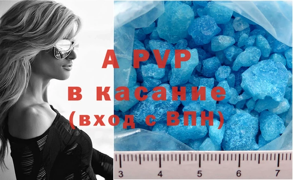 мяу мяу мука Корсаков